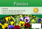 5"w X 7"L Annuals Plant Information Signs - Fluted Coroplast Material