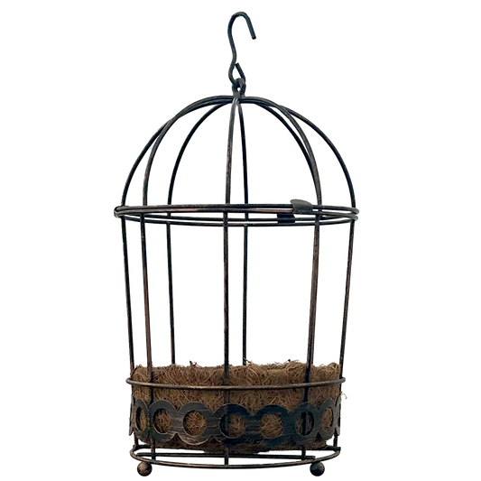 Planter that looks like a bird cage with an interlocking circle band on the bottom 