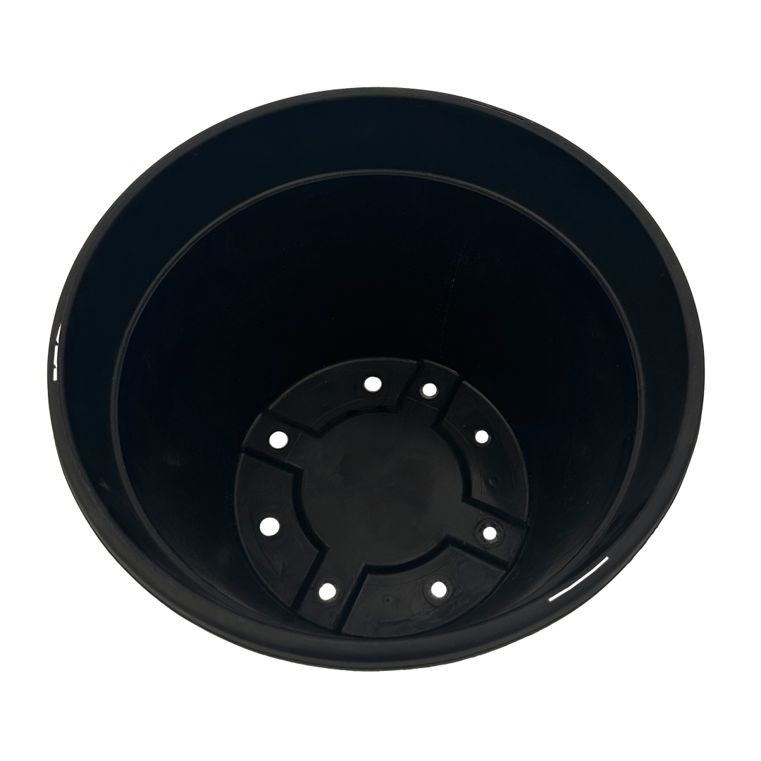 inside of basic black pot with drainage holes and taglocks 