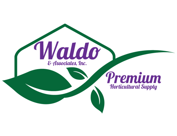 Shop at Waldo