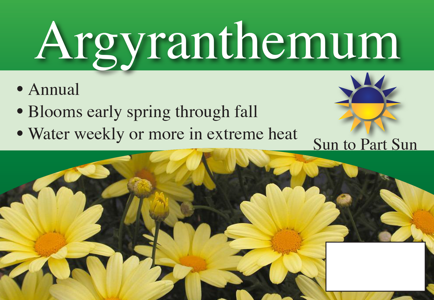 Argyanthemum sign with three facts and sun needs