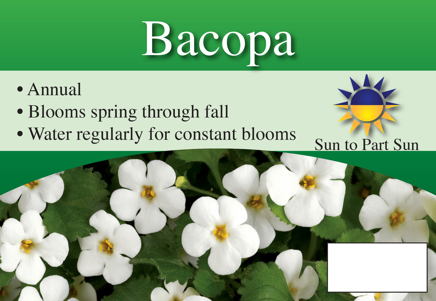 Bacopa sign with three facts and sun needs