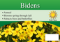 Bidens sign with three facts and sun needs