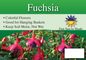 Fuchsia sign with three facts and sun needs