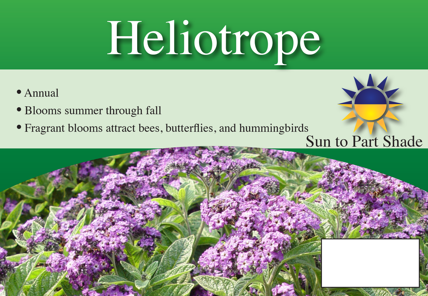 Heliotrope sign with three facts and sun needs