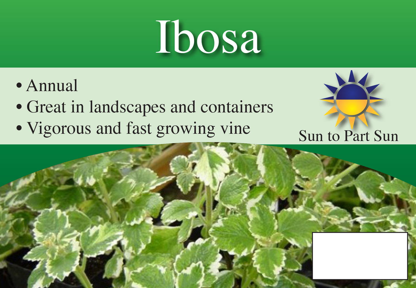 Ibosa sign with three facts and sun needs