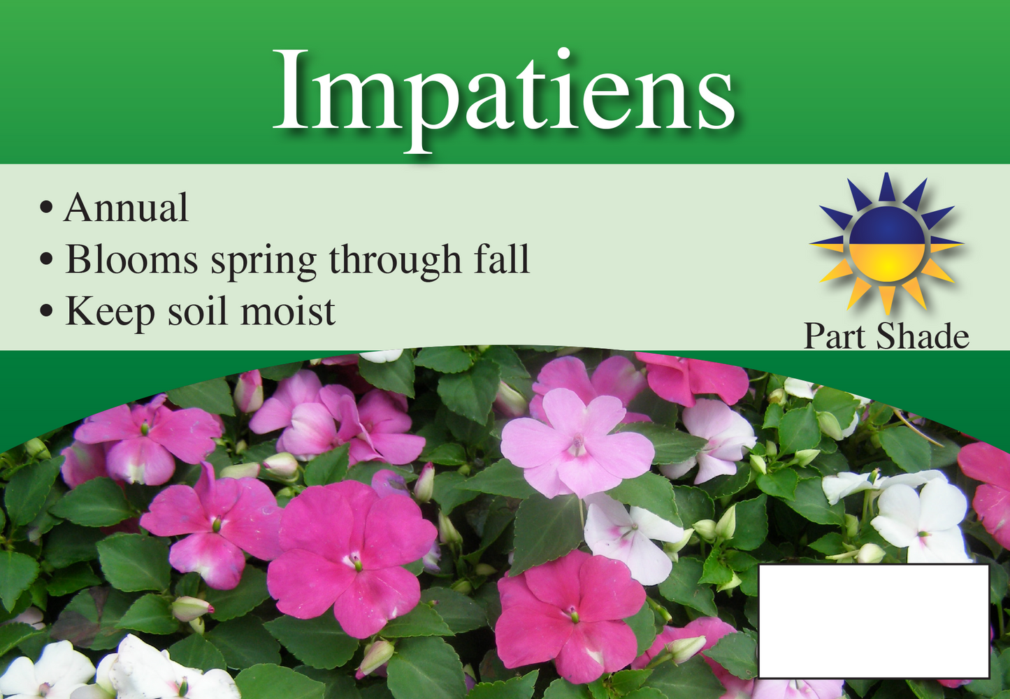 Impatiens sign with three facts and sun needs