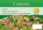 Lantana sign with three facts and sun needs