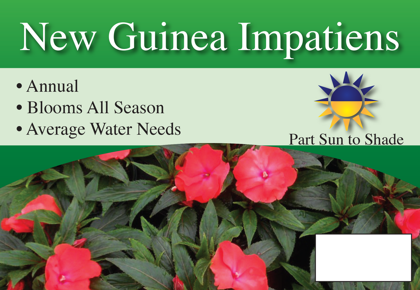 New Guinea Impatiens sign with three facts and sun needs