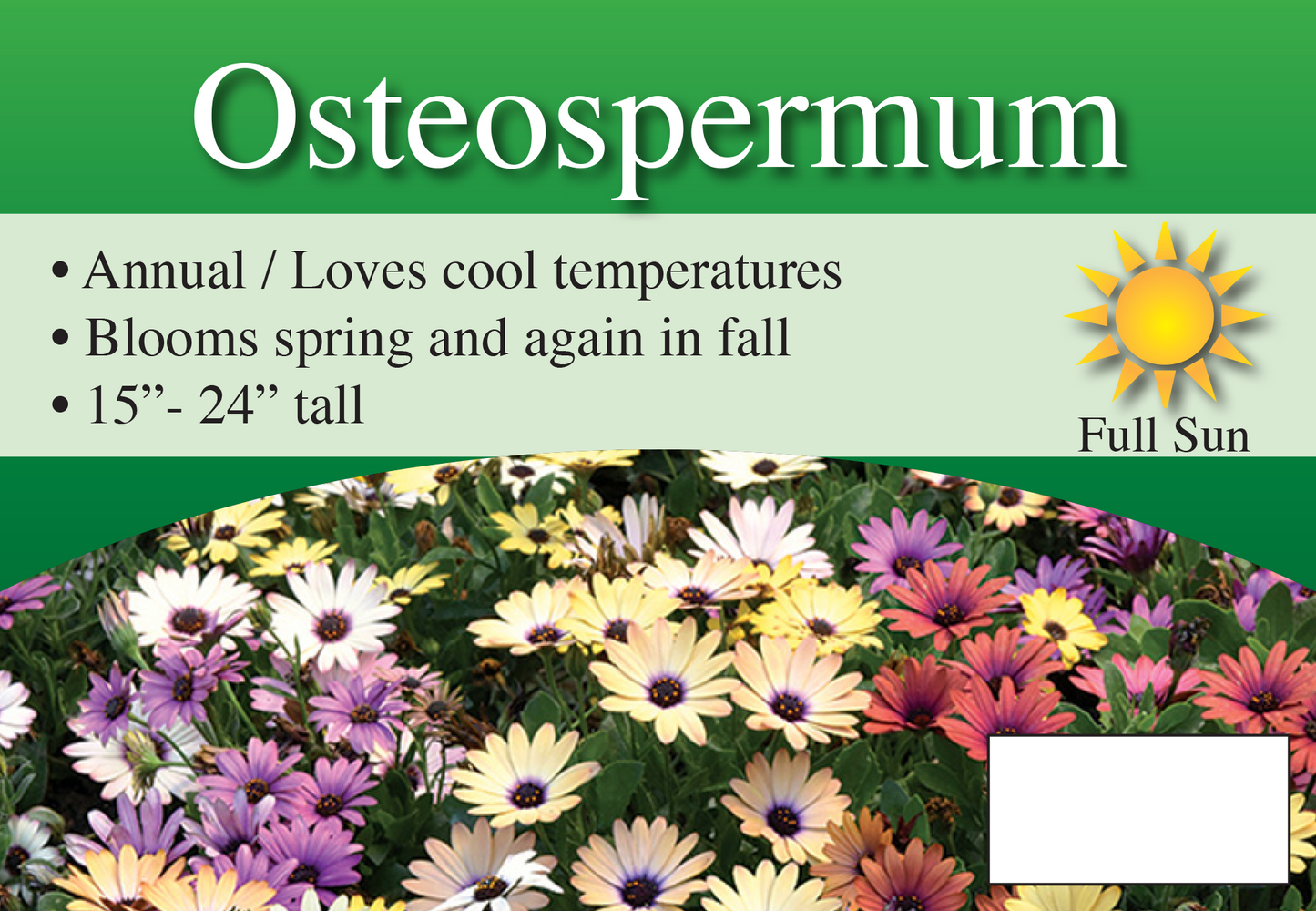 Osteospermums sign with three facts and sun needs