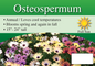 Osteospermum sign with three facts and sun needs