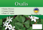 Oxalis sign with three facts and sun needs