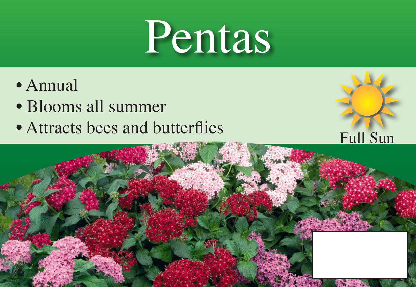 Pentas sign with three facts and sun needs