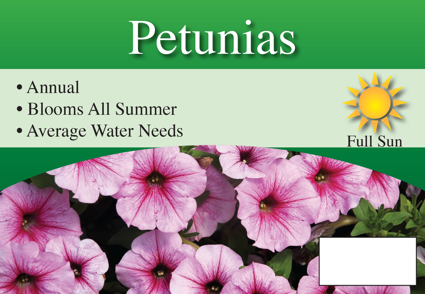 Petunias sign with three facts and sun needs