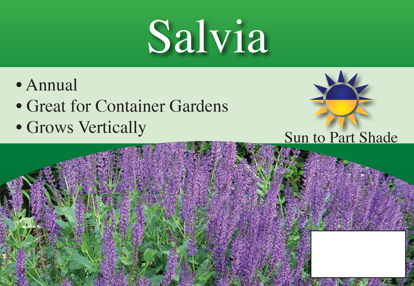 Salvia sign with three facts and sun needs