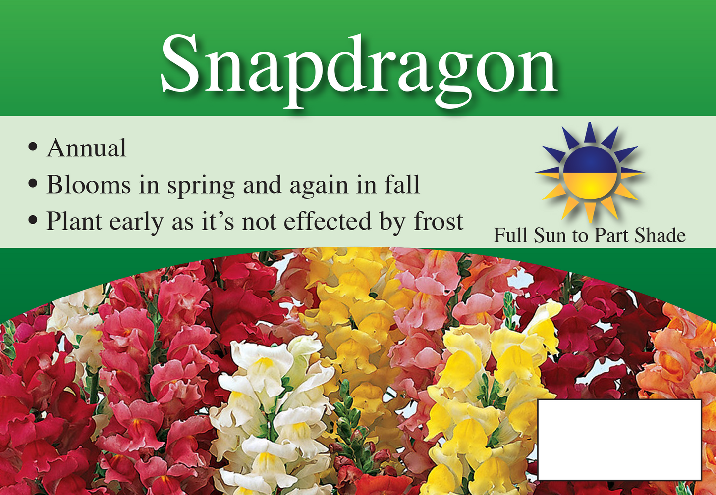 Snapdragon sign with three facts and sun needs