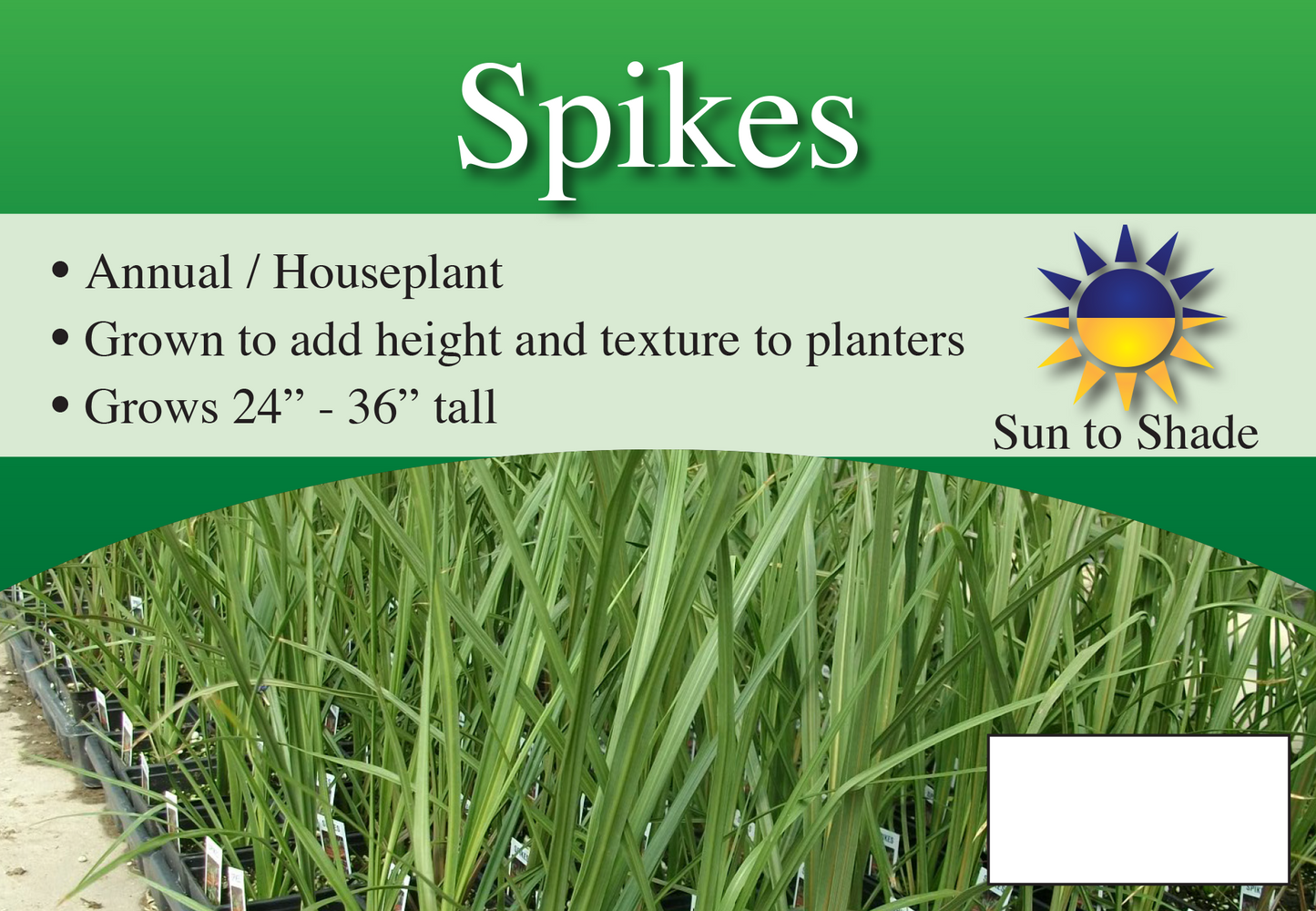 Spikes sign with three facts and sun needs