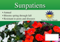 Sunpatiens sign with three facts and sun needs