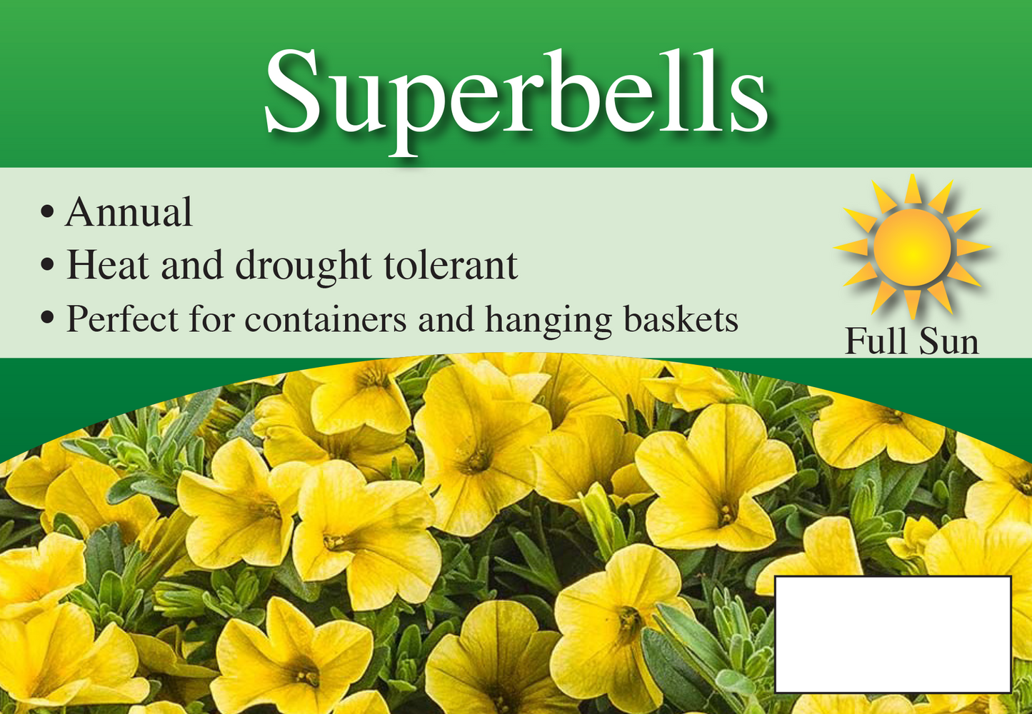 Superbells sign with three facts and sun needs