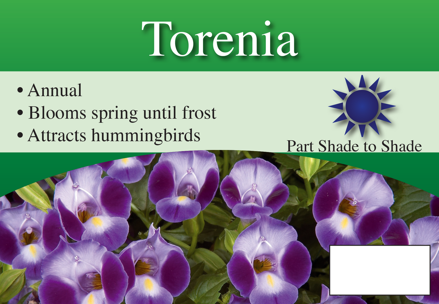 Torenia sign with three facts and sun needs