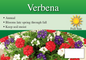 Verbena sign with three facts and sun needs