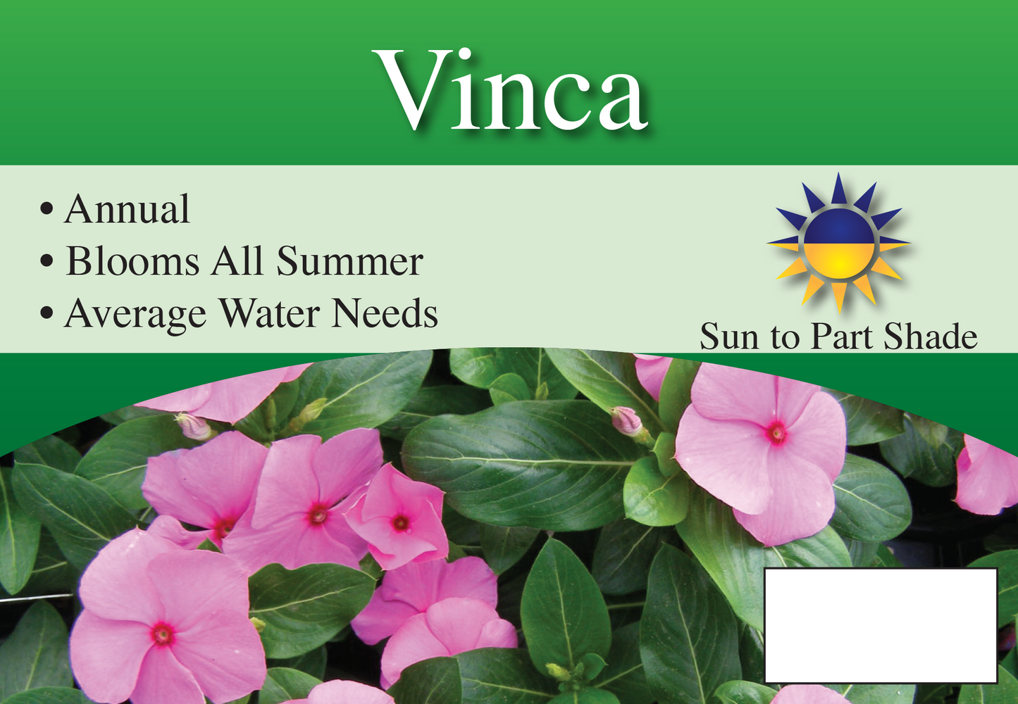 Vinca sign with three facts and sun needs