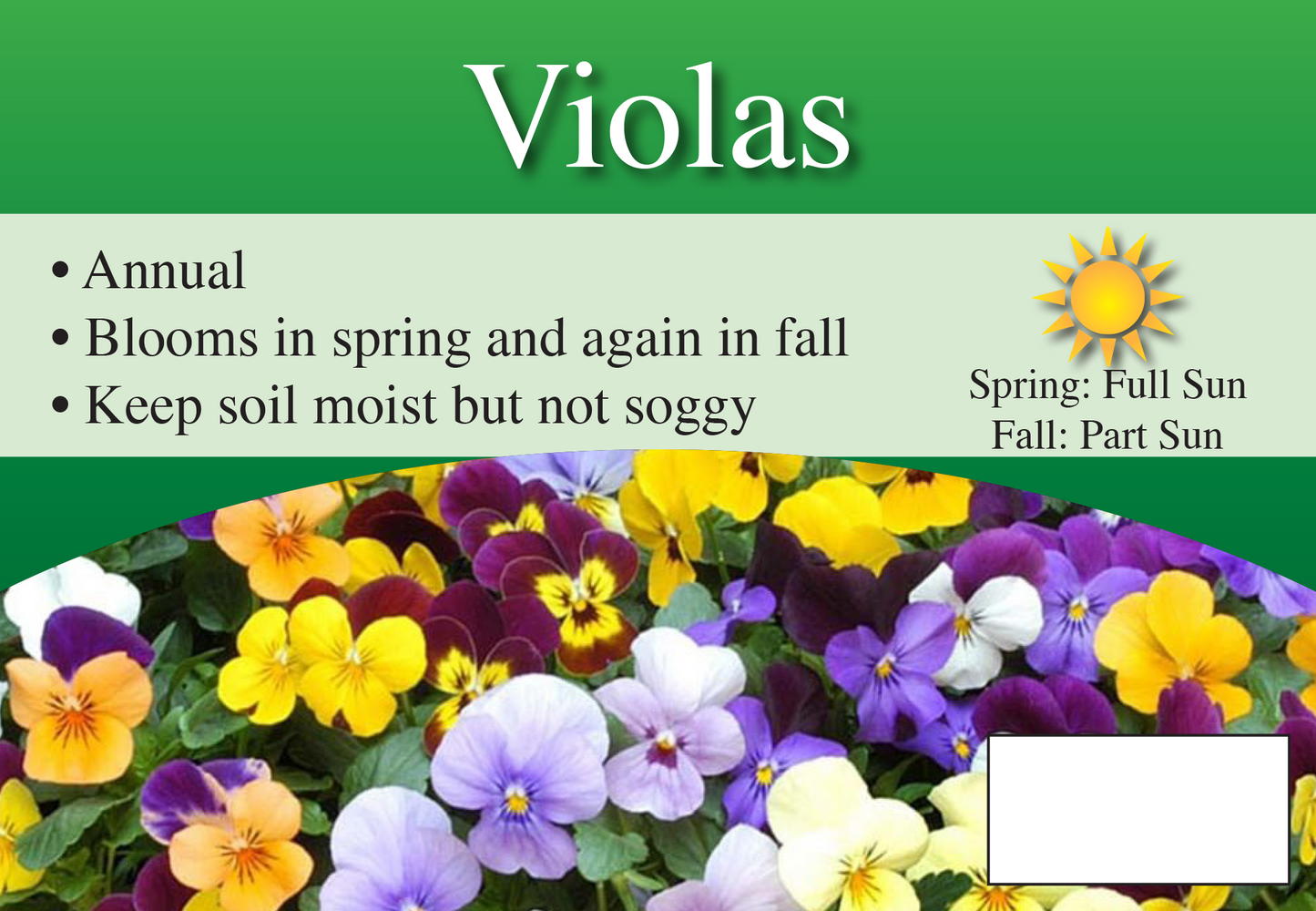 Violas sign with three facts and sun needs