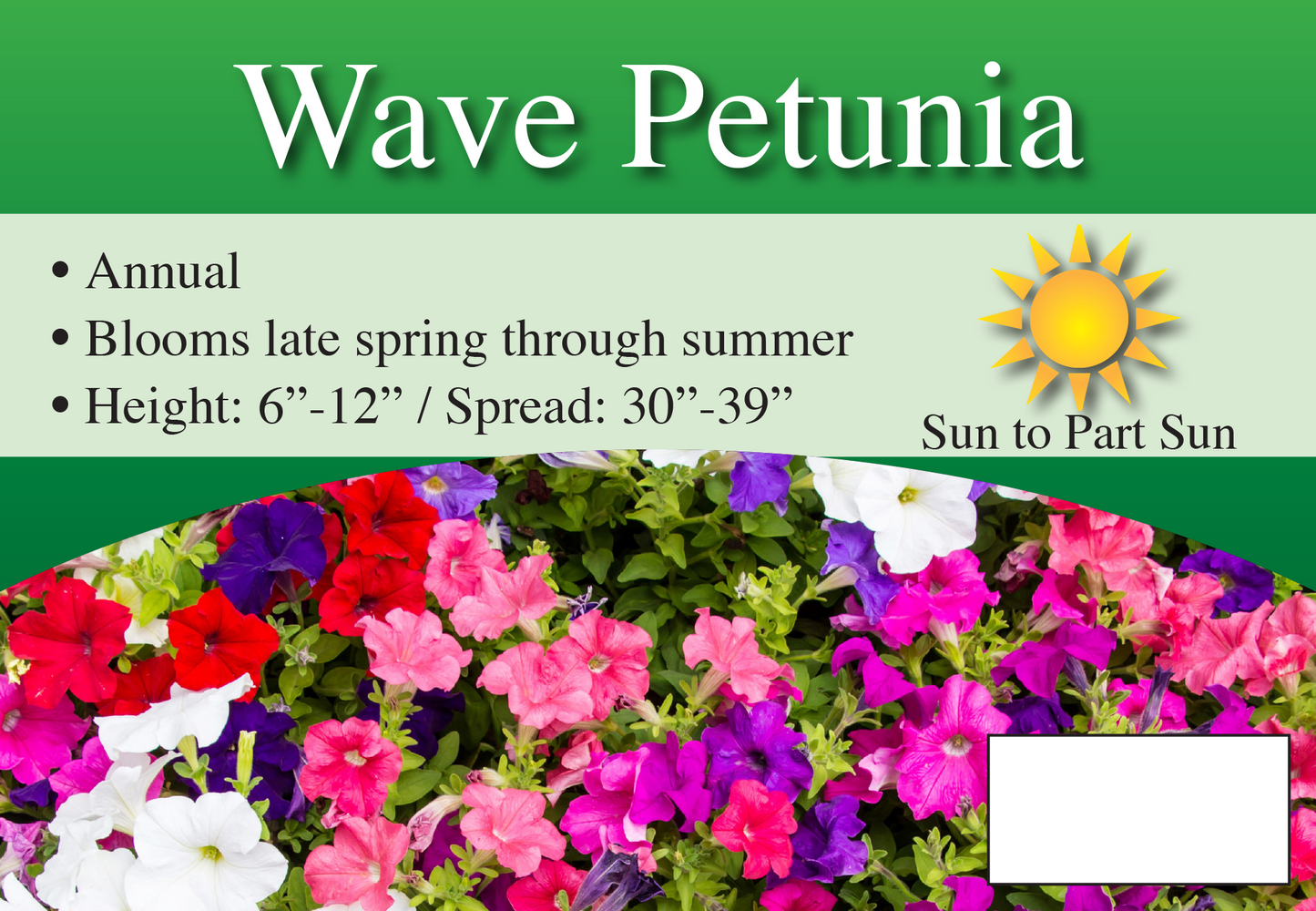 Wave Petunia sign with three facts and sun needs