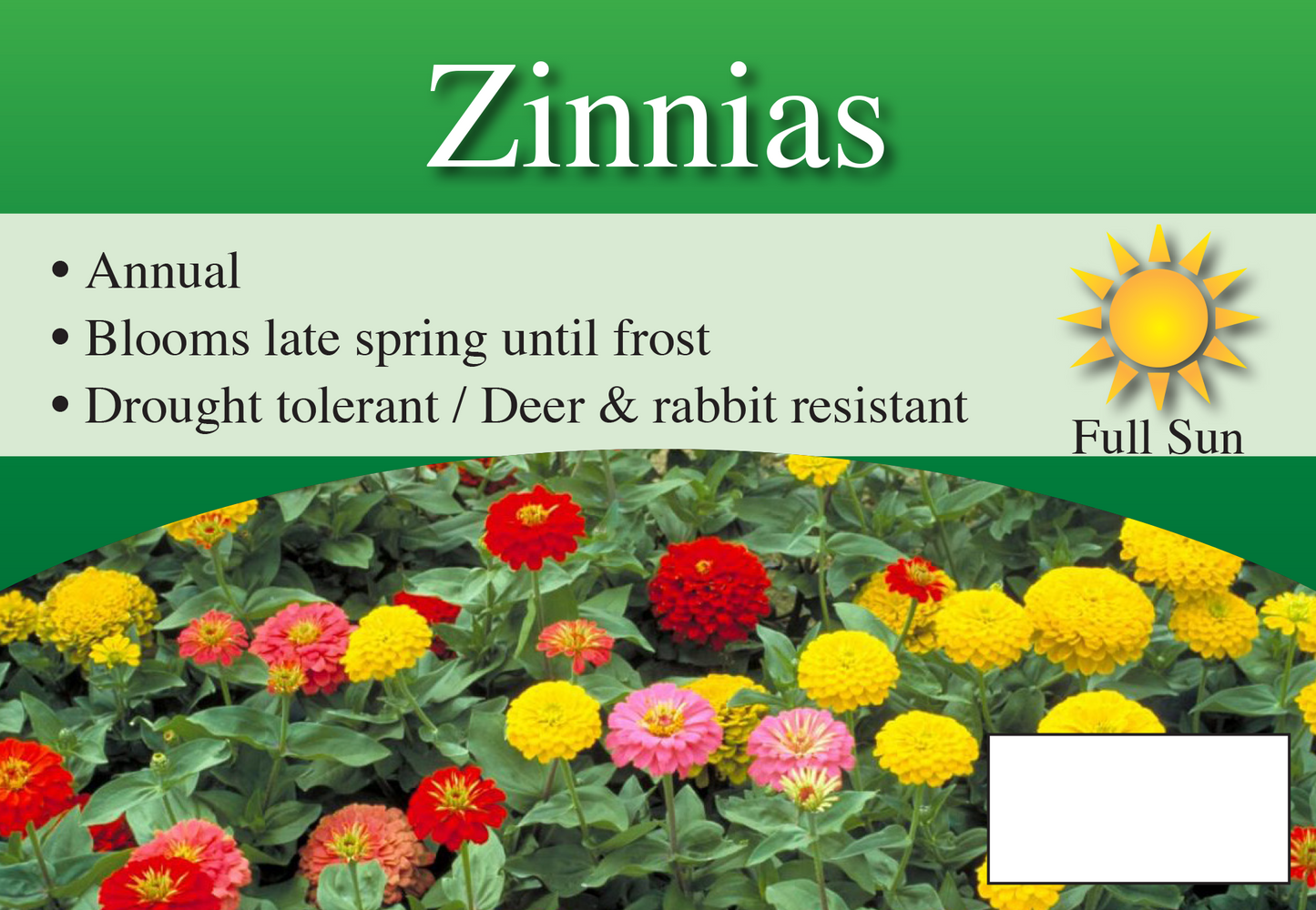 Zinnias sign with three facts and sun needs